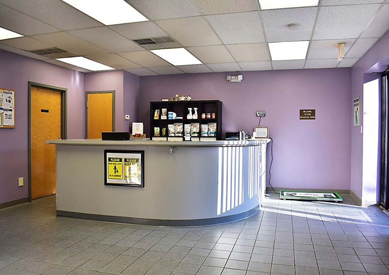 Bergenfield Animal Clinic Front Desk